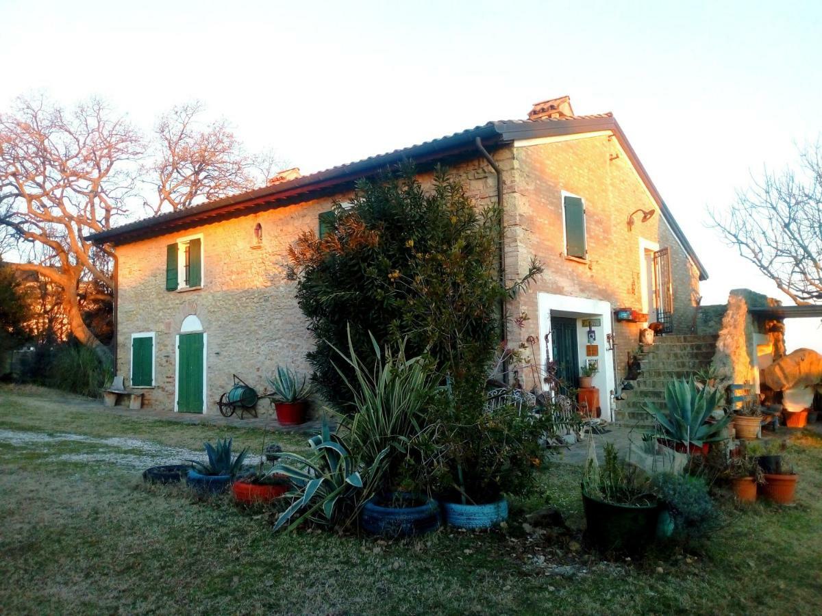 La Cana Dolce Bertinoro Luaran gambar