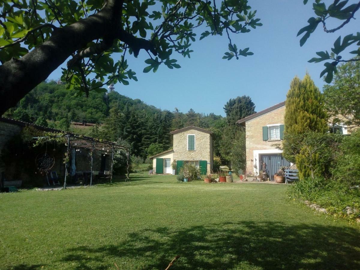 La Cana Dolce Bertinoro Luaran gambar