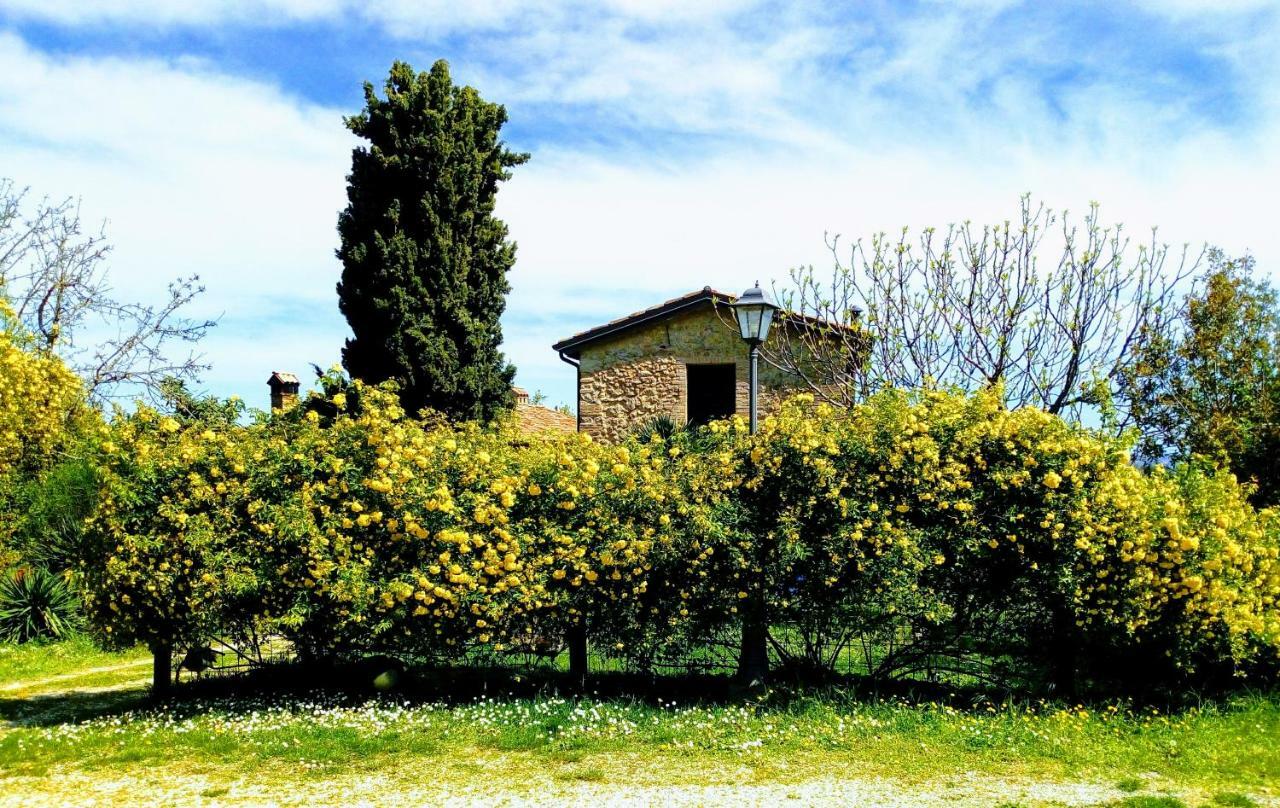 La Cana Dolce Bertinoro Luaran gambar